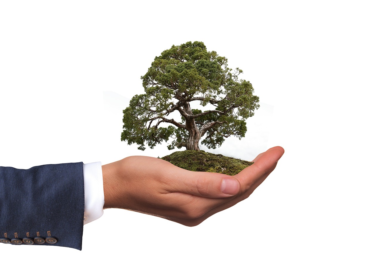 Make a Difference with Every Purchase - Eco-Friendly Shopping